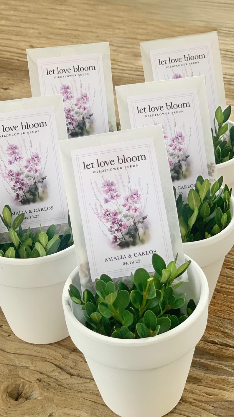 May include: White pots filled with green plants, each holding a packet of wildflower seeds. The packets read "let love bloom" with a floral illustration and the names "Amalia & Carlos" and the date "04.19.25".