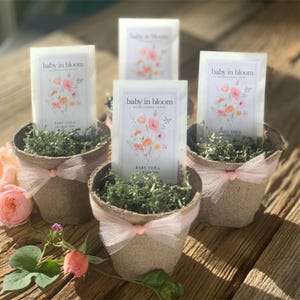 Personalized Baby Shower Favor Wildflower Seed Packet Custom Name Design Due Date Details Bloom Party Gift Eco Friendly Present Botanical Theme Celebration Garden Party Favor Glassine Envelope Package Floral Seal Option Spring Baby