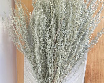 Dried Fringed Sage, Artemisia Frigida, DIY Flower Arrangement, Wedding, Vase Filler, Flower Bouquet, Home Decor, Dried Flowers