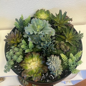 Puede incluir: Una maceta circular negra llena de una variedad de suculentas y plantas verdes. La maceta está decorada con pequeñas piedras negras.