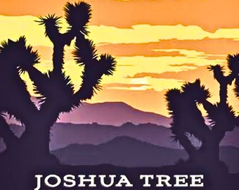 Joshua Tree National Park Painted Poster - 24 Color Paint by number kit