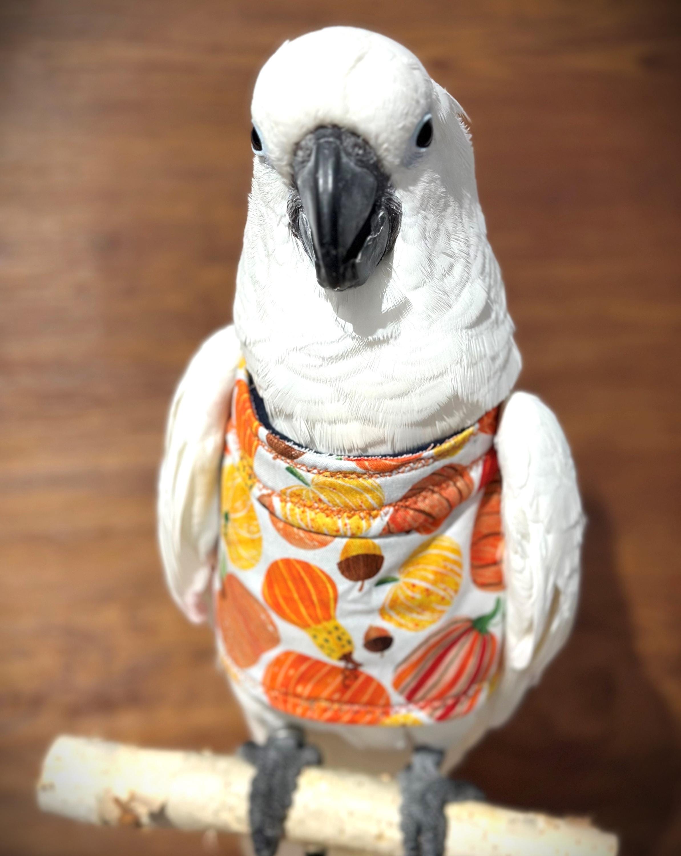 Sweaters for Birds That Pluck