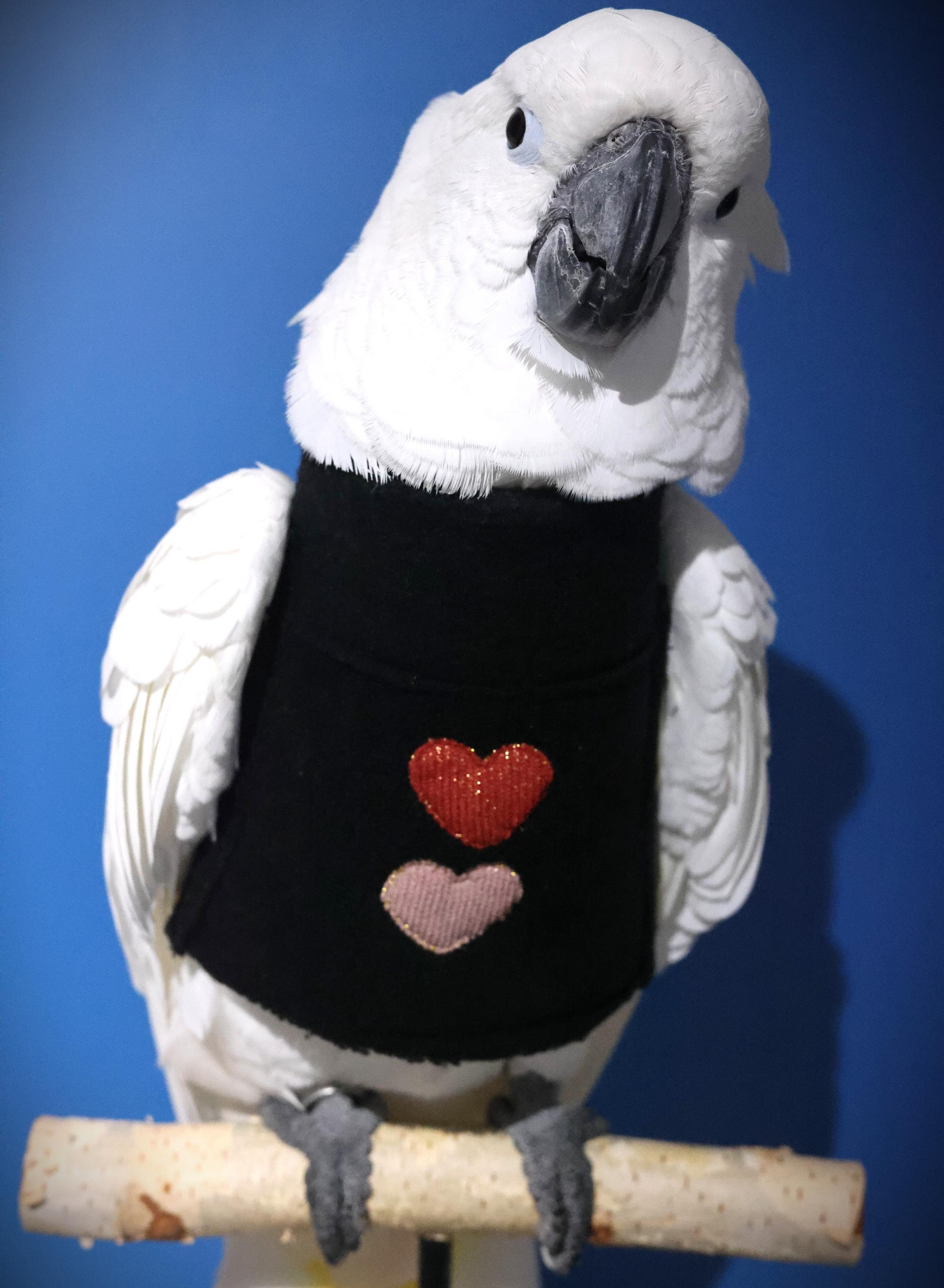 Australian Animals Cockatoo Jumper Animal Sweater- Gang Gang