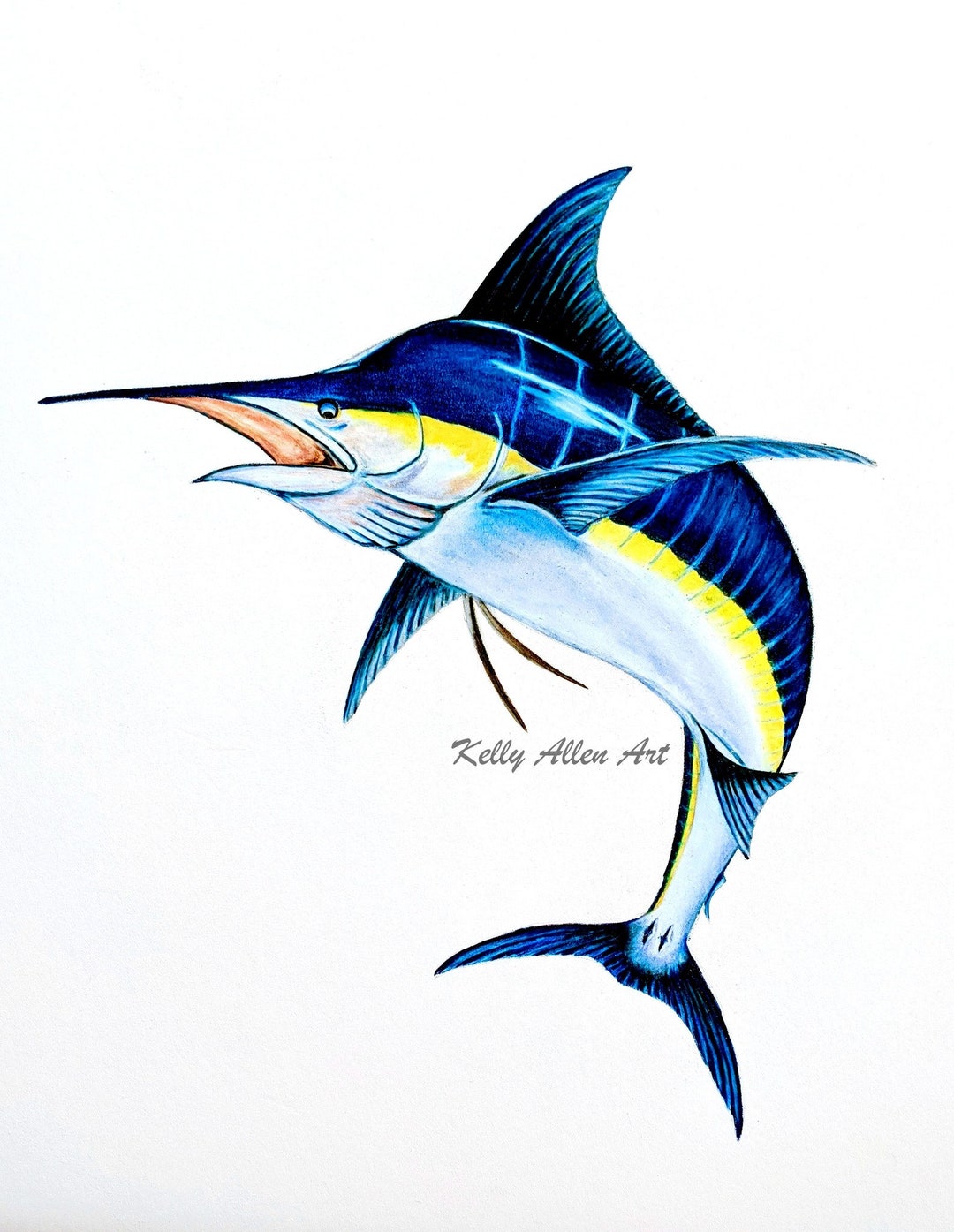 Original Color Pencil Blue Marlin 20 X 16 - Etsy