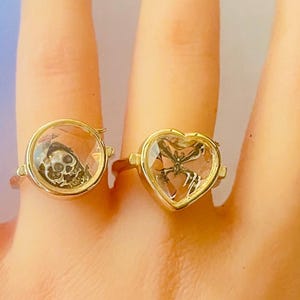 Può includere: Due anelli color oro, uno rotondo e uno a forma di cuore, ciascuno con un centro trasparente simile al vetro. L'anello rotondo contiene un piccolo teschio, mentre l'anello a forma di cuore contiene un insetto dettagliato. Entrambi gli anelli sono su un dito.