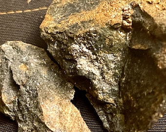 Sierra Foothills Gold Specimen – Gold Ore Quartz Vein