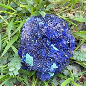 May include: A striking azurite mineral specimen, showcasing a deep blue hue with crystalline structures and patches of green malachite. The natural stone is set against a backdrop of green grass and foliage, highlighting its vibrant colors and textures.