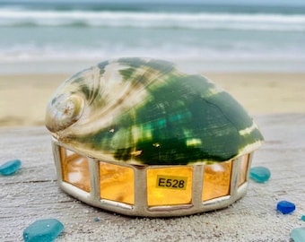 Vintage Genuine Paua Shell Abalone Trinket Jewellery Box From New