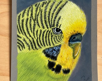 Orginial Soft pastel painting of a beautiful Green Budgie