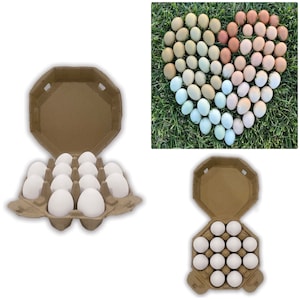 Octagon Egg Crates   Holds 12 eggs