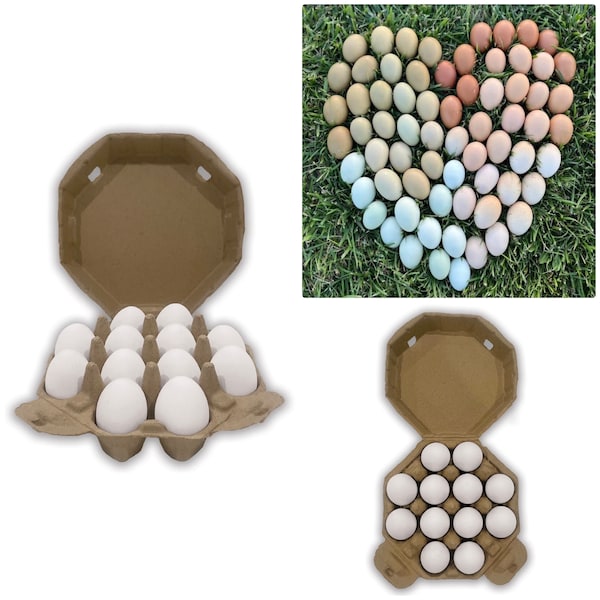 Octagon Egg Carton Etsy