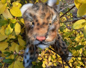 May include: A plush toy bobcat head with a red nose, brown spots, and white fur. The bobcat is surrounded by yellow and green leaves, creating a natural setting. The toy has a realistic appearance.