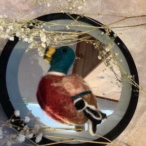 Ducks