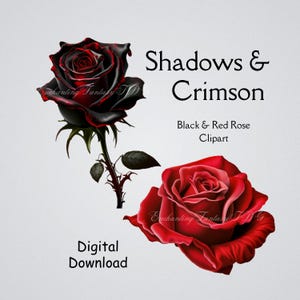 Ombres et carmin : Clipart rose noir et rouge, téléchargement numérique, 12 PNG