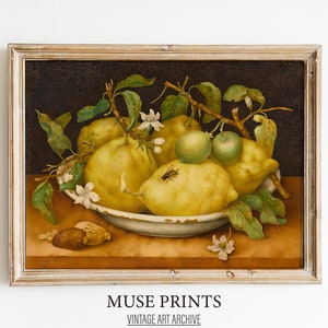 Lemons and Citrus Fruits Still Life | Vintage Painting | Wall Art | Kitchen Decor | PRINTABLE Digital Art | Muse Prints Co ST0017