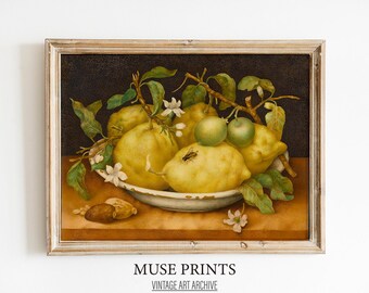 May include: A still life painting of lemons and green apples in a white bowl with a dark background. The lemons are arranged in a bowl with a few leaves and white flowers. A small fly is perched on one of the lemons.