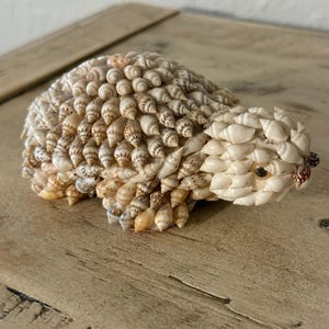 May include: A decorative figurine shaped like a turtle, crafted from various seashells. The turtle has a rounded shell made of small, spiral shells in shades of beige and brown. The head and feet are made of larger, white shells, with a small, dark eye.