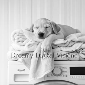 A closeup of an adorable golden labrador puppy laundry room print! This black and white digital download features an adorable golden labrador puppy snoozing peacefully on freshly folded towels — the perfect addition to your farmhouse laundry room, mudroom, or utility space, or the perfect gift for your Lab Lover friends!