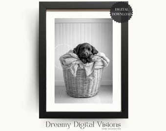 Black Labrador Retriever Mix Puppy Print, Laundry Wall Art, Laundry Print, Gift for Dog Lover, Printable Laundry Room Decor, Dog Wall Art