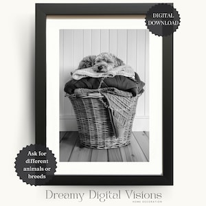 Aussiedoodle Dog Asleep on Laundry Basket, Cute Printable Laundry Room Decor, Gift for Dog Lovers, Animal Laundry Room Print, Dog Wall Art