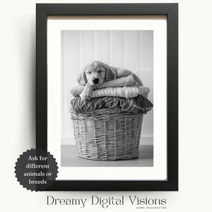 Adorable Golden Retriever Laundry Room Print, Gift for Dog Lovers, Animal Laundry Room Decor, Laundry Wall Art, Golden Retriever Gift