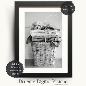Laundry Room Decor, Cockapoo Puppy Asleep on a Basket of Washing, Laundry Room Print, Utility Room Print, Printable Laundry Home Decor