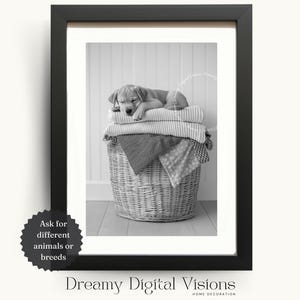 Adorable Golden Labrador Puppy Asleep on Laundry Basket, Laundry Wall Art, Laundry Print, Gift for Dog Lover, Printable Laundry Room Decor