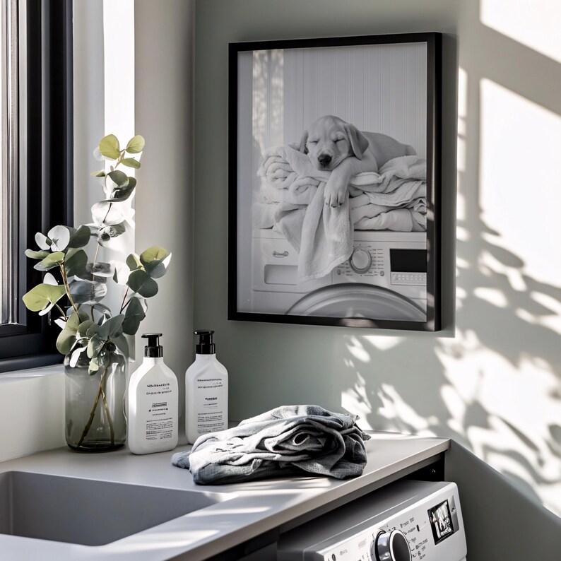 An adorable golden labrador puppy laundry room print! This black and white digital download features an adorable golden labrador puppy snoozing peacefully on freshly folded towels — the perfect addition to your farmhouse laundry room, mudroom, or utility space, or the perfect gift for your Lab Lover friends! It is displayed here in a thin black frame hanging on the wall of a laundry room above a washing machine in the evening sunshine