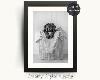 Adorable Black Labrador Puppy asleep on a Laundry Basket, Laundry Wall Art, Laundry Print, Gift for Dog Lover, Printable Laundry Room Decor