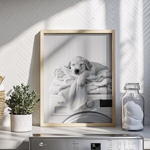An adorable golden labrador puppy laundry room print! This black and white digital download features an adorable golden labrador puppy snoozing peacefully on freshly folded towels — the perfect addition to your farmhouse laundry room, mudroom, or utility space, or the perfect gift for your Lab Lover friends! It is displayed here in a light wooden frame standing on a laundry room counter above a washing machine