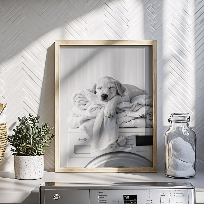 An adorable golden labrador puppy laundry room print! This black and white digital download features an adorable golden labrador puppy snoozing peacefully on freshly folded towels — the perfect addition to your farmhouse laundry room, mudroom, or utility space, or the perfect gift for your Lab Lover friends! It is displayed here in a light wooden frame standing on a laundry room counter above a washing machine