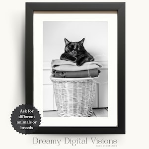 Adorable Black Cat Sleeping on Laundry Basket, Laundry Room Wall Decor, Quick Gift for Cat Owners, Animal Laundry Print, Laundry Room Art