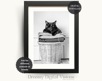 Adorable Black Cat Sleeping on Laundry Basket, Laundry Room Wall Decor, Quick Gift for Cat Owners, Animal Laundry Print, Laundry Room Art