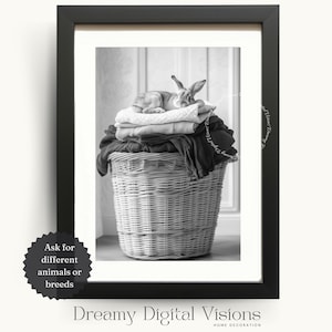 Adorable Bunny Rabbit in Laundry Basket, Laundry Room Wall Art, Laundry Room Decor, Laundry Room Animal Art, Printable Gift for Animal Lover
