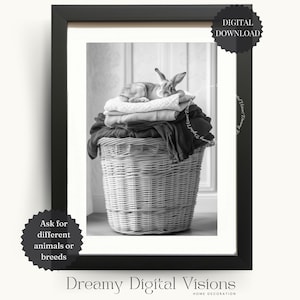 Adorable Bunny Rabbit in Laundry Basket, Laundry Room Wall Art, Laundry Room Decor, Laundry Room Animal Art, Printable Gift for Animal Lover