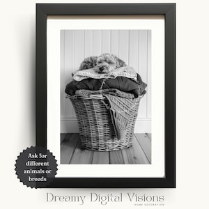 Aussiedoodle Dog Asleep on Laundry Basket, Cute Printable Laundry Room Decor, Gift for Dog Lovers, Animal Laundry Room Print, Dog Wall Art