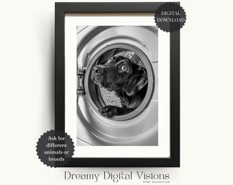 Black Labrador Peeking out from a Washine Machine, Laundry Room Print, Gift for Dog Lovers, Laundry Wall Art, Labrador Digital Prints