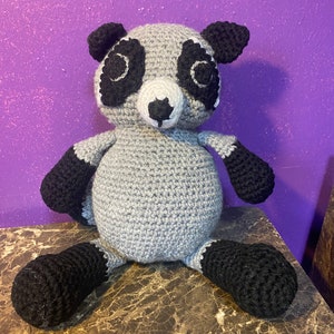 Sweet Racoon