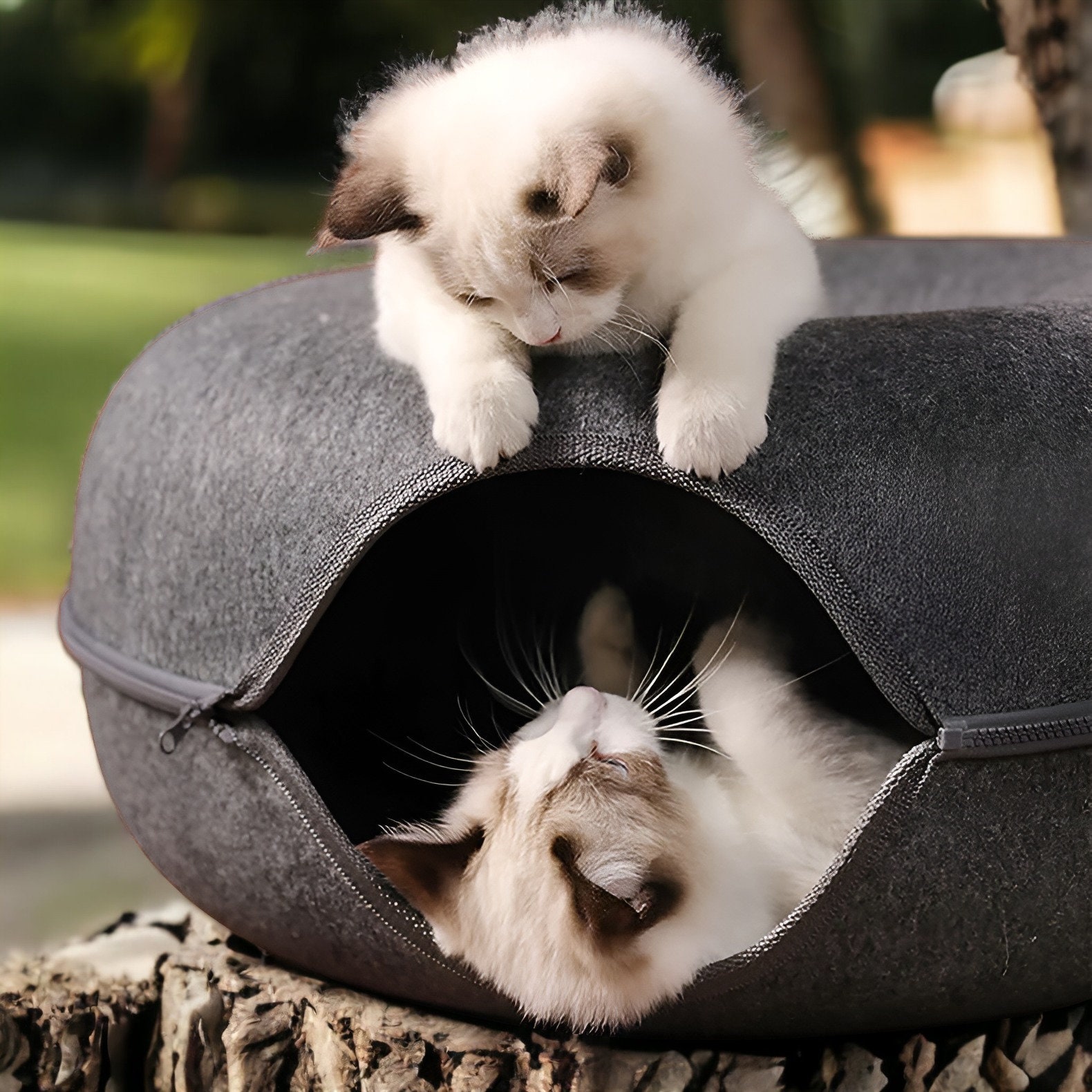 Cat Bed Extra Large Cozy Cave Combo Durable Clawresistant Etsy