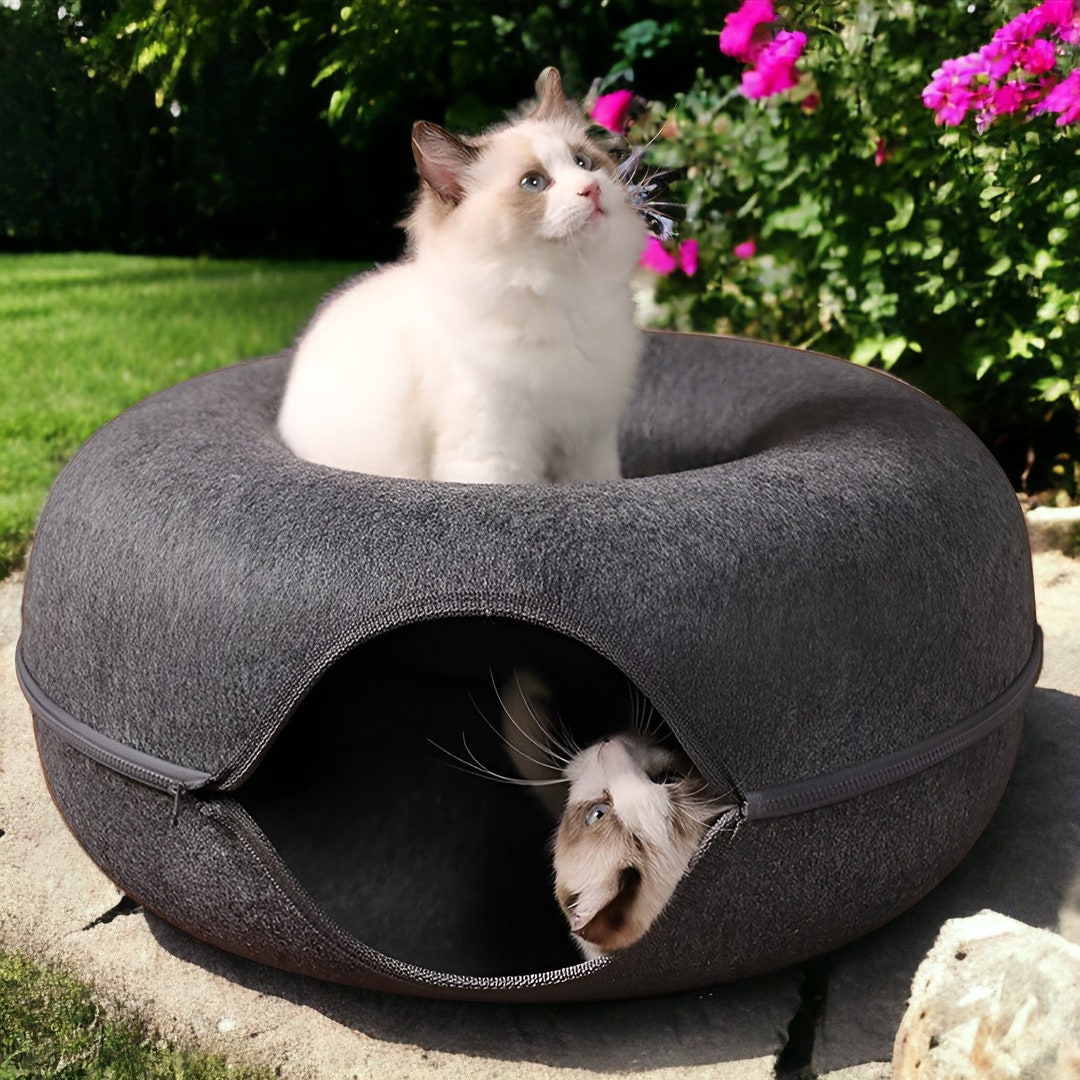 Peekaboo cat cave full felt cat tunnel bed for indoor large cats scratch resistant donut tunnel for cats up to 30 lbs grey and blue for all
