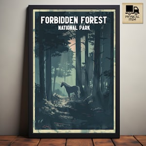 Foresta proibita, poster del parco nazionale Wizard, poster ispirato a HP, maglietta del mondo magico, regalo libresco per fan, poster fisico