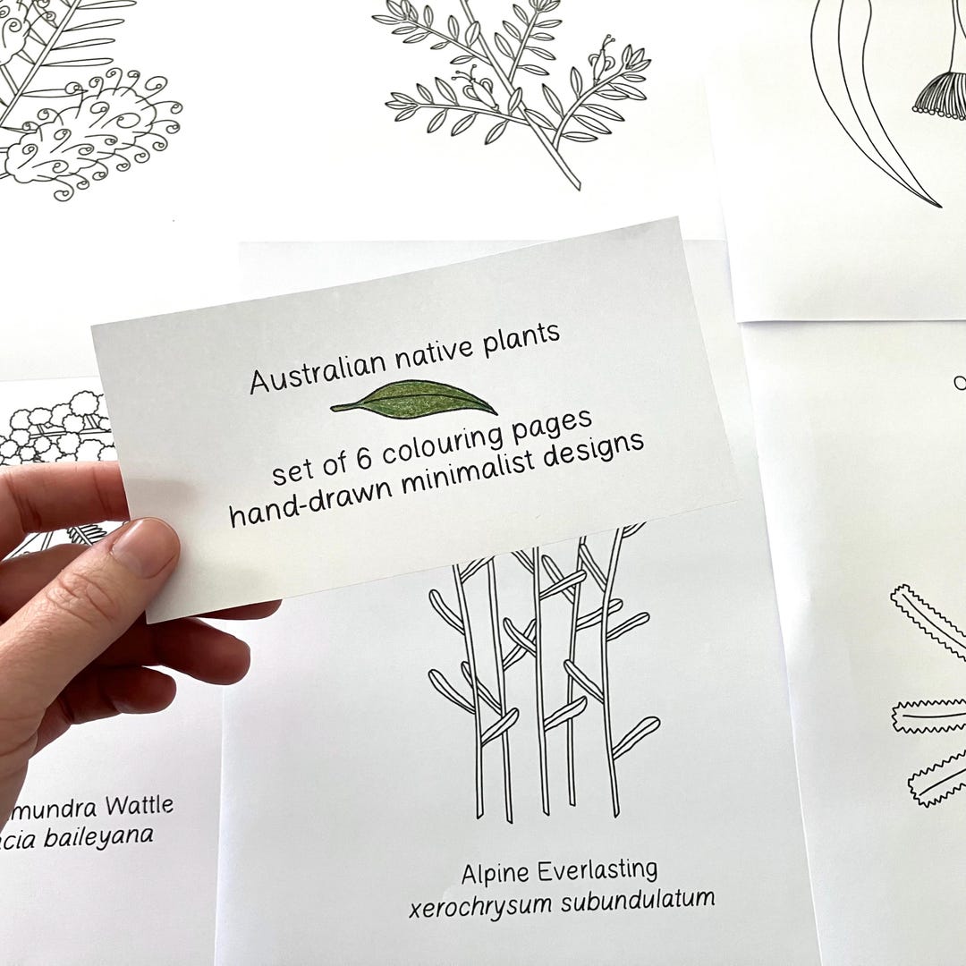 Australian Native Plants Colouring Pages, Hand Drawn Colouring Pages ...