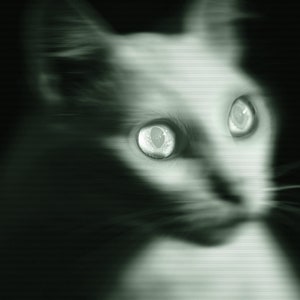 Haunted Halloween Horror Pet Portrait from Photo | Scary Creepy UFO, Ghostly, Mysterious Portrait Artwork for your Spooky Season