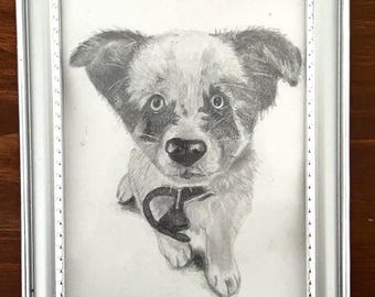 Custom Hand-Drawn Graphite Pet Portrait, Realistic Dog Cat Sketch (4x6, 5x7, 8x10)