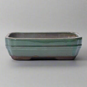 May include: A rectangular bonsai pot with a light green glaze. The ceramic container has a slightly textured surface and a brown base. The pot's design includes a subtle, horizontal banding detail. The pot is designed for growing small trees.