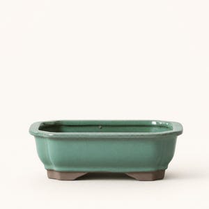 18cm Glazed Bonsai Pot | Rectangle | 18cm x 14cm x 4cm | Green