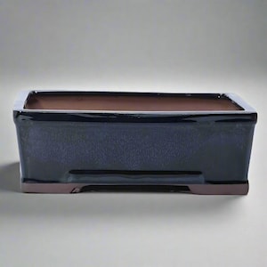 May include: A dark blue rectangular bonsai pot with a brown interior. The pot has a glossy finish and a simple, modern design. The base of the pot is a contrasting brown colour.