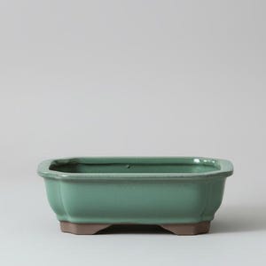 18cm Glazed Bonsai Pot | Rectangle | 18cm x 14cm x 4cm | Green