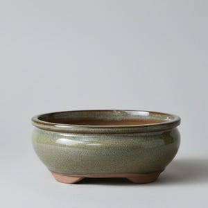 18cm Glazed Bonsai Pot | Oval | 18cm x 15cm x 6cm | Green