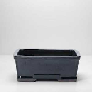 18cm Glazed Bonsai Pot | Rectangle | 18cm x 14cm x 6cm | Black